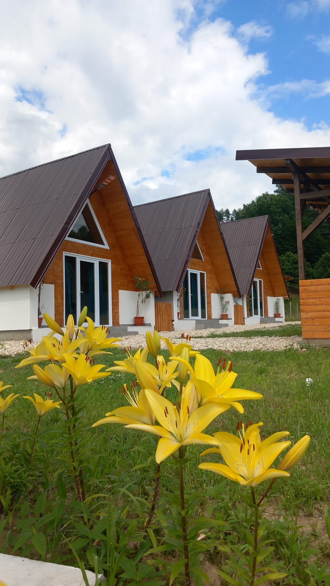 Cele trei cabane A-Frame Cabane La Hotar, cu crini galbeni în față
